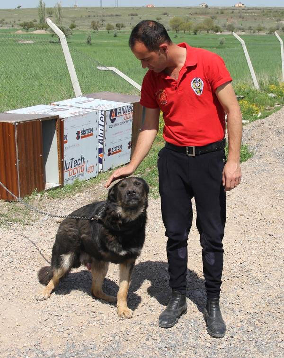 Bacağı Kesilen Köpeğin Bakımını Atlı Polisler Üstlendi