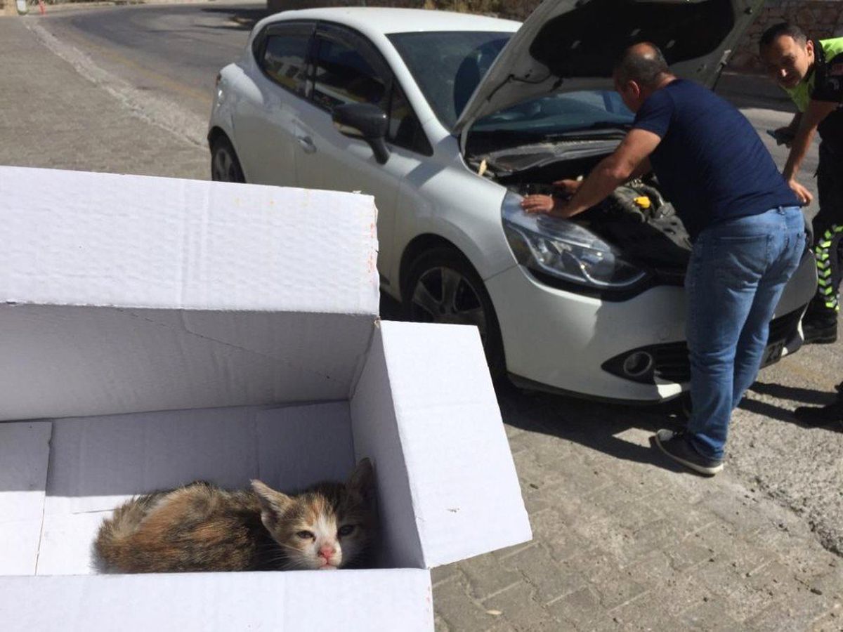 Bodrum\'da Durdurulan Aracın Kaputunu Açan Polisler Şok Oldu