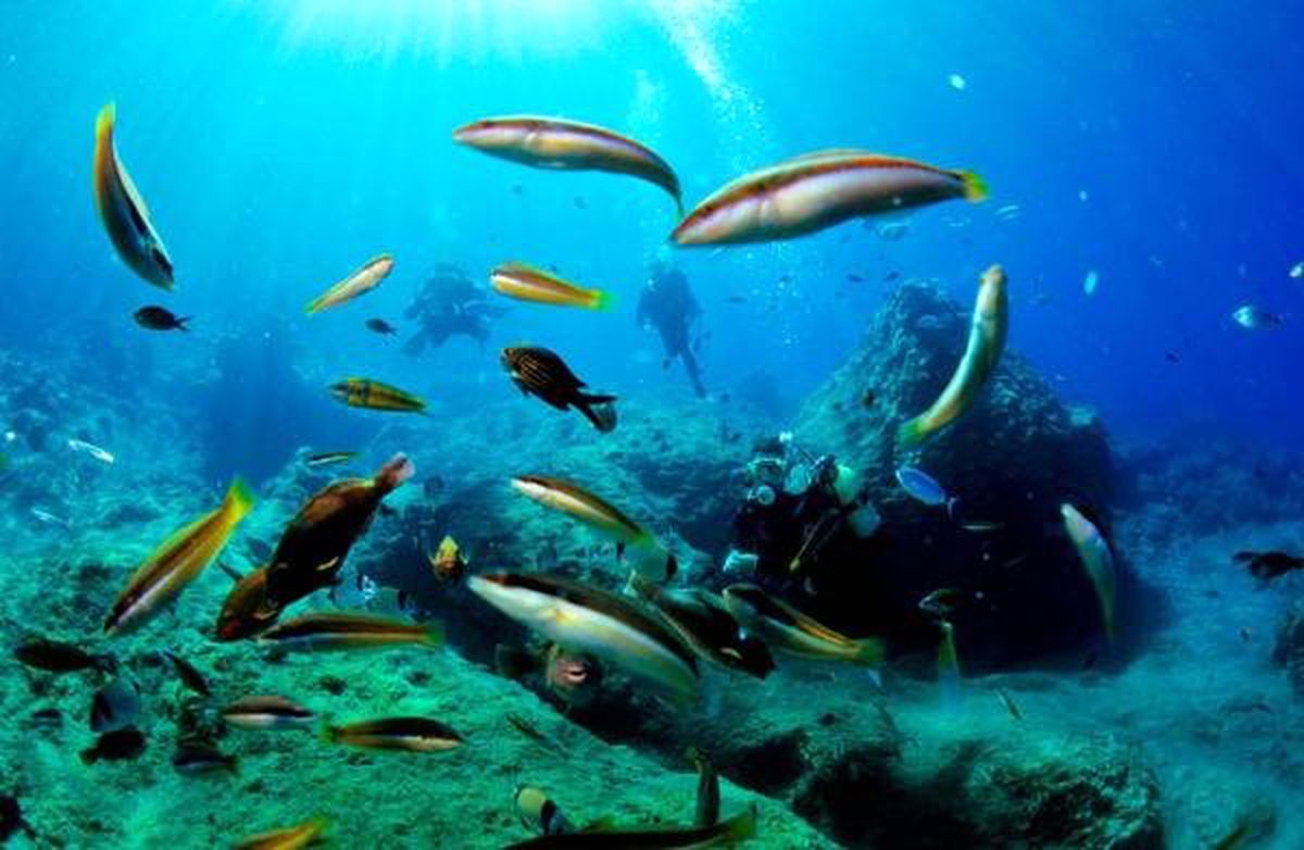 Dalış Turizmi Sezonu Açıldı