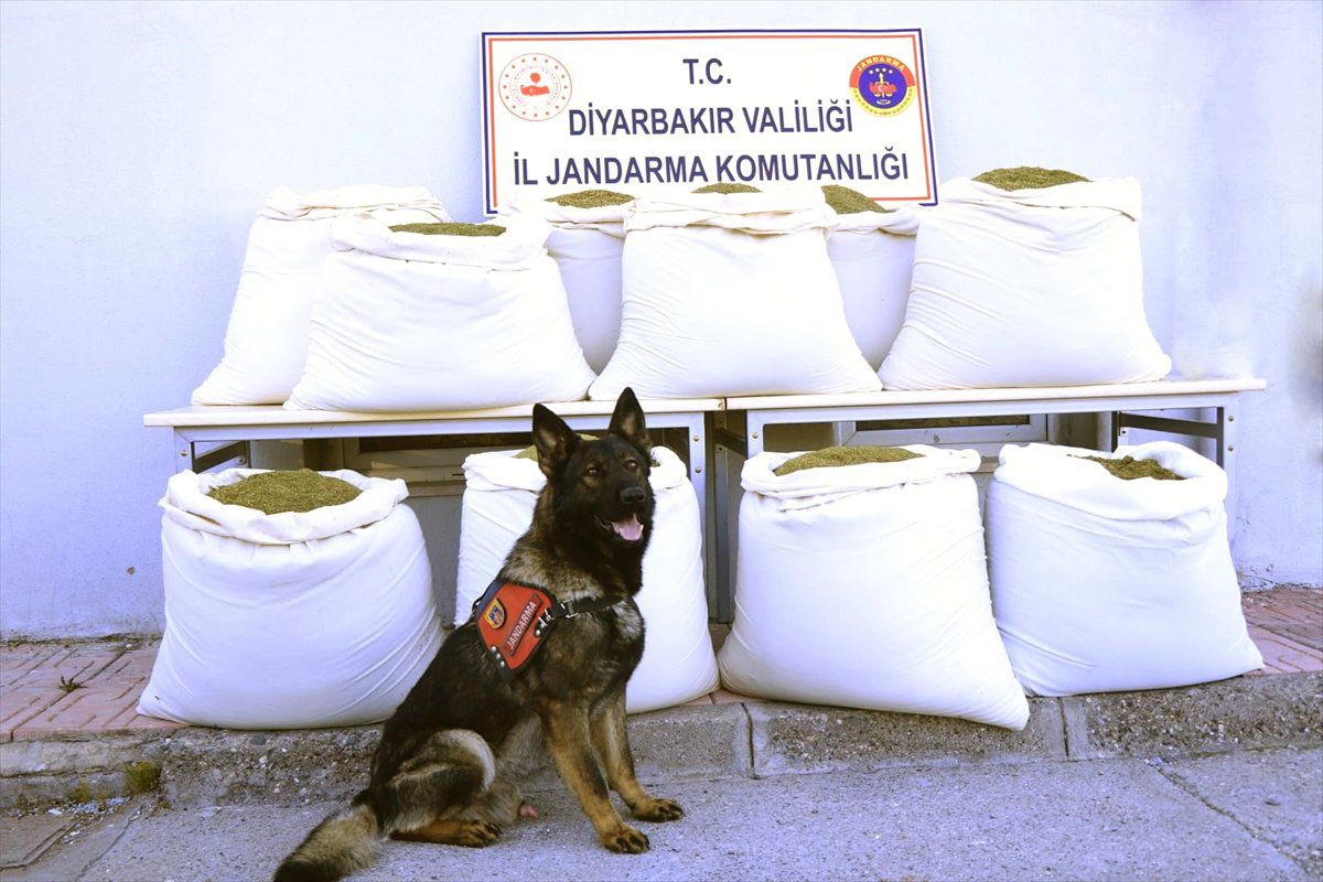 Diyarbakır\'da 346 Kilogram Esrar Ele Geçirildi