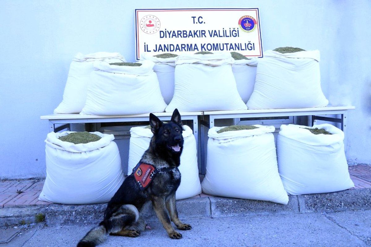 Diyarbakır\'da Takibe Alınan Araçta 346 Kilogram Esrar Ele Geçirildi
