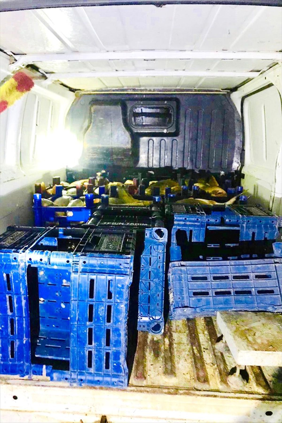 Elazığ\'da Kaçak Avlanan 1 Ton Balık Ele Geçirildi