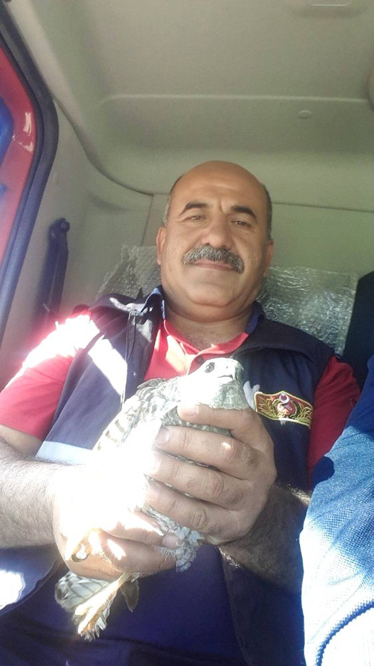 İtfaiye Erleri Bu Kez Su Oluğuna Sıkışan Şahini Kurtardı