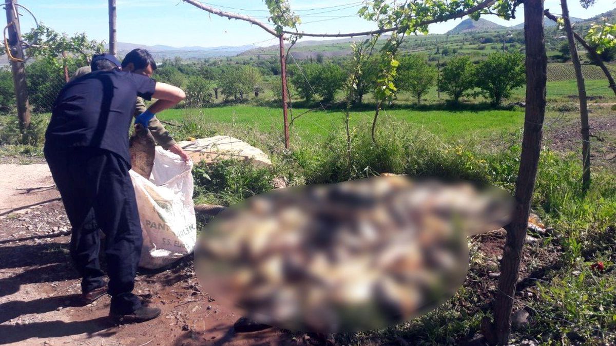 Kaçak Avlanan 1 Ton Balık Ele Geçirildi