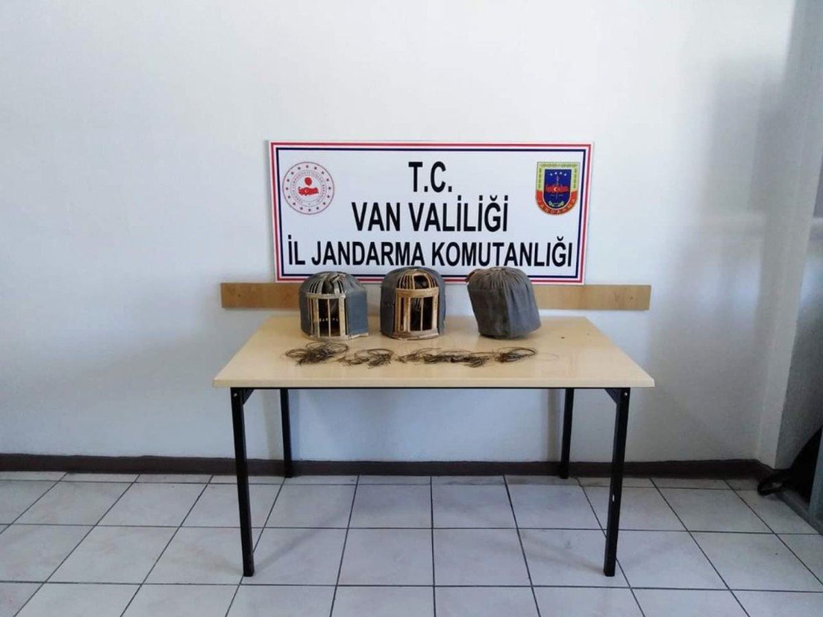 Kafes Avcılığı İçin Şanlıurfa\'dan Geldiler, Jandarmaya Takıldılar