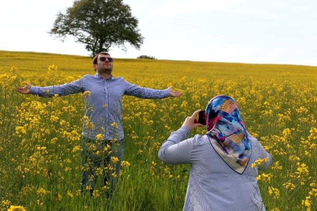Kanola Tarlalarına Selfie Akını