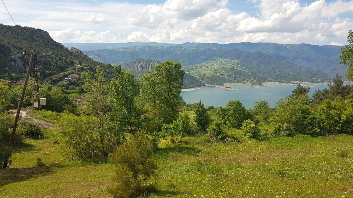 Kayıp Ecrin İçin Evin Yakınında Kazı Çalışması Başladı