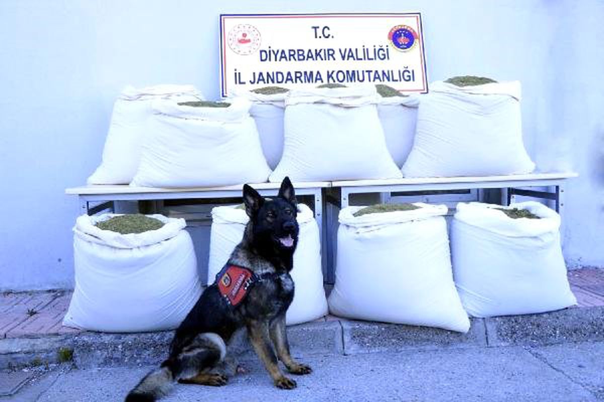 Lice\'de Minibüste 346 Kilo Esrar Ele Geçirildi