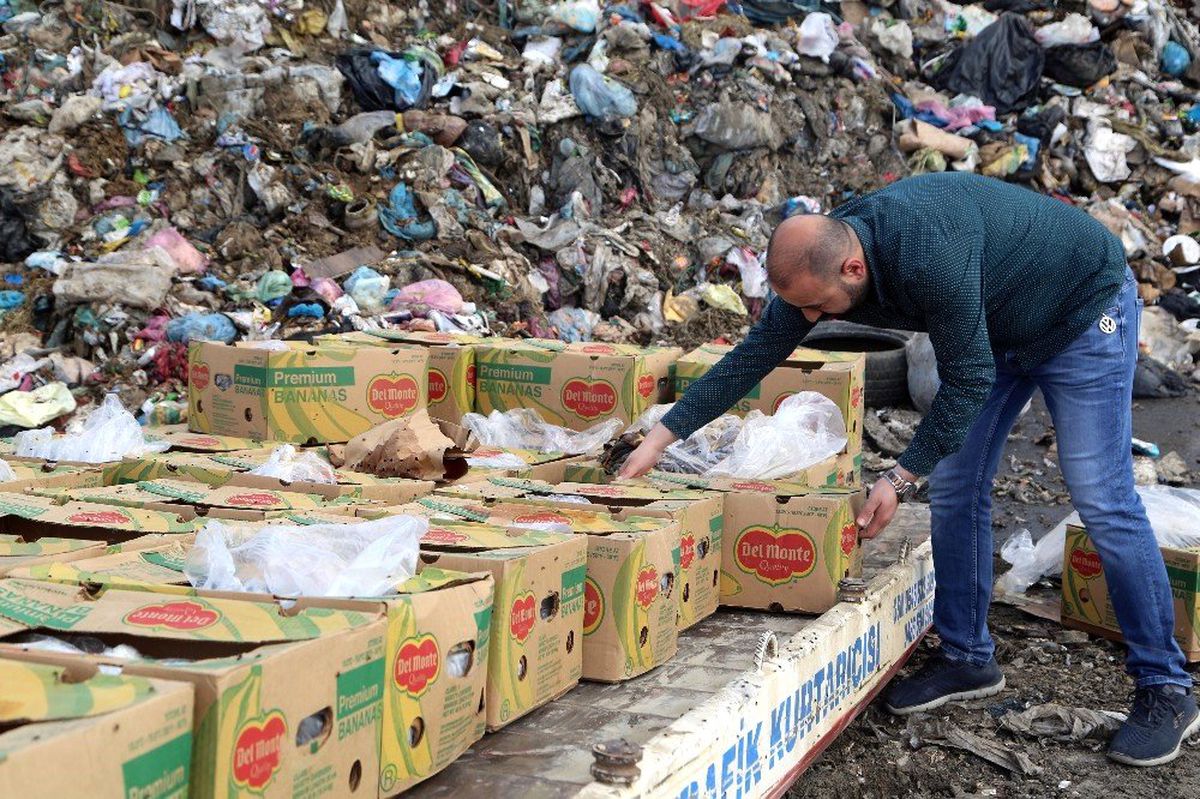 Silopi\'de 994 Kilogram Kaçak Muz İmha Edildi