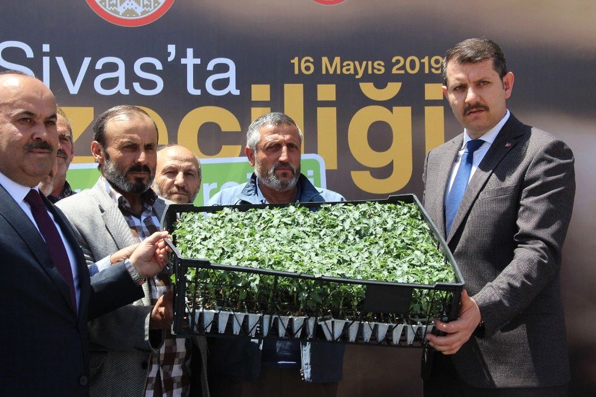 Sivas\'ta Sebze Fidesi Dağıtıldı