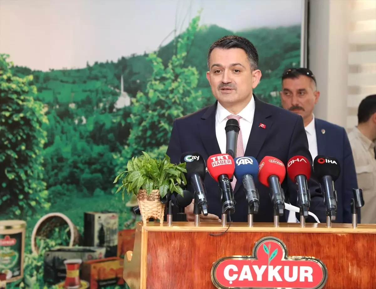 Yaş Çay Alım Fiyatı Açıklandı (2)