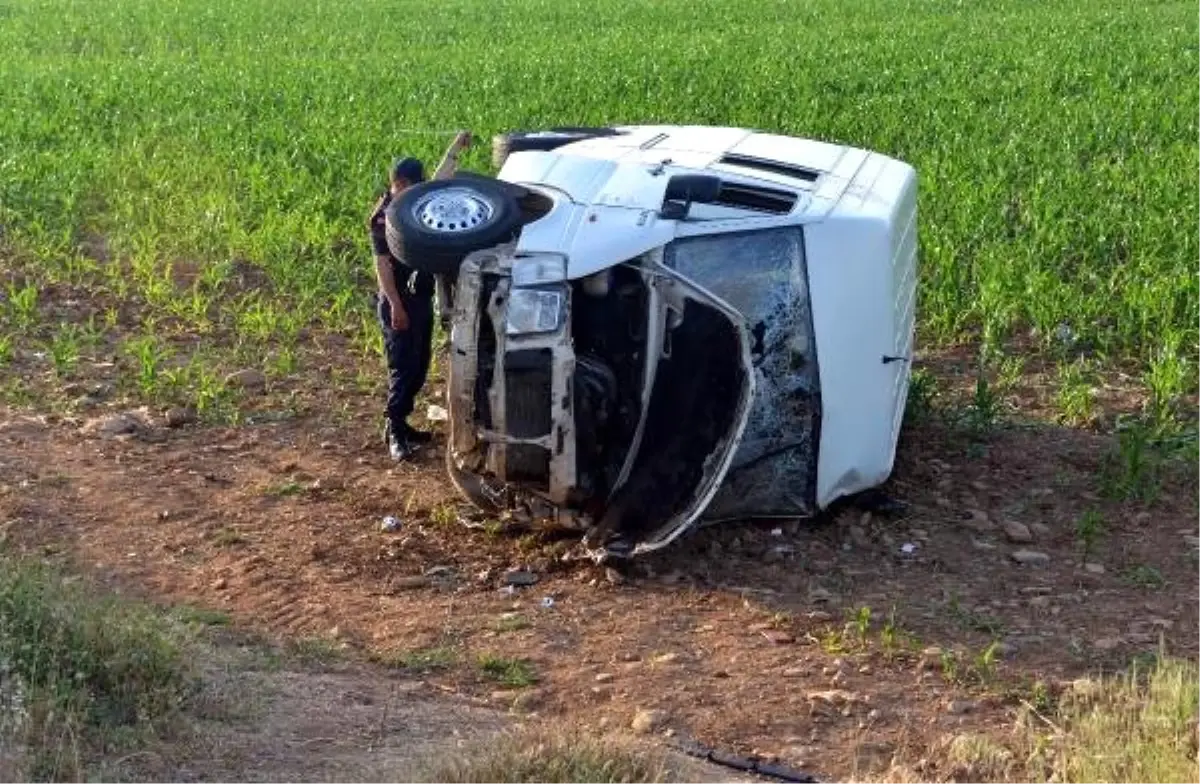 Yolcu Minibüsü Mısır Tarlasına Devrildi: 6 Yaralı