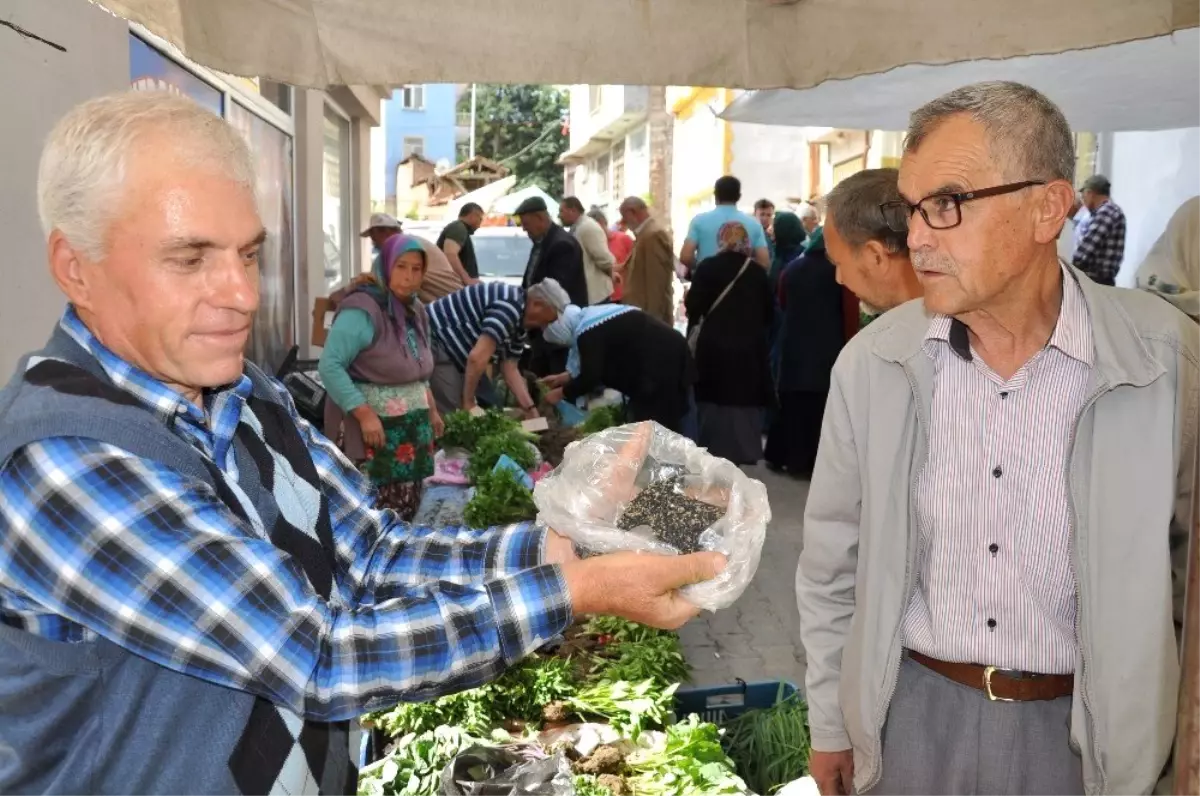 150 Yıllık Tohumla Pırasa Üretiyorlar