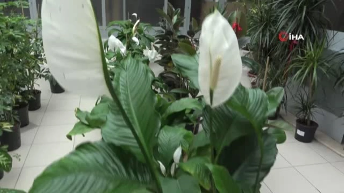 Belediye Başkanına Gelen Tebrik Çiçekleri, İhtiyaç Sahiplerine Yardıma Dönüştü