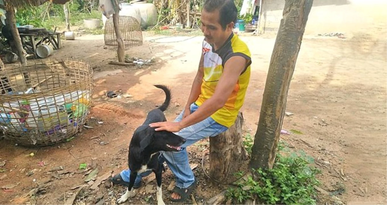 Doğum Yapan 15 Yaşındaki Kızın Gömdüğü Bebeği, Sokak Köpeği Buldu