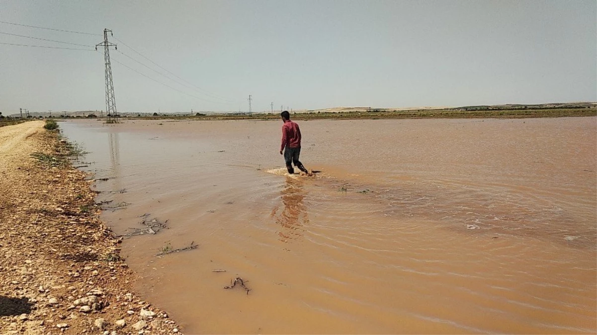 DSİ\'ye Ait Sulama Borusu Patladı Ekili Araziler Su Altında Kaldı
