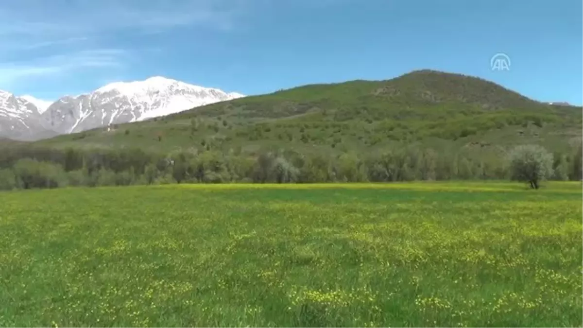 Fotoğraf Sanatının Sonu Yoktur"