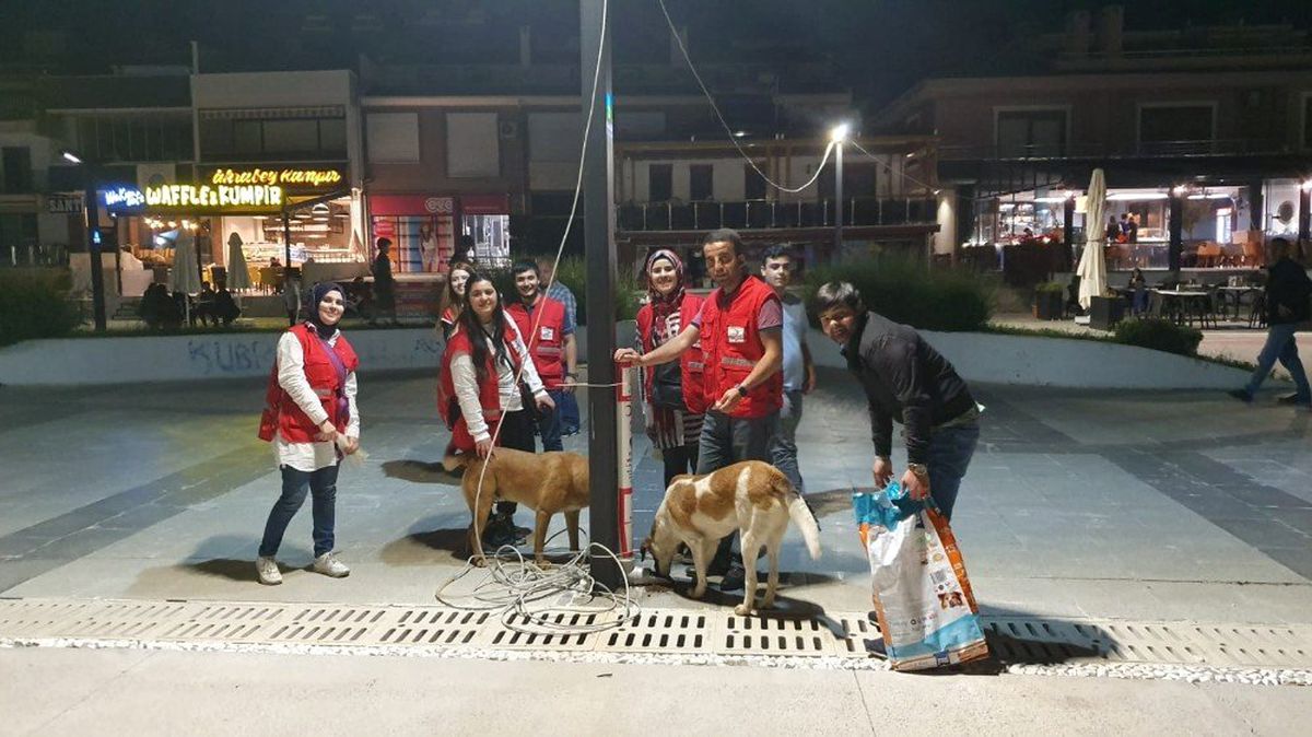 Genç Kızılaycılar Sokak Hayvanlarını Unutmadı