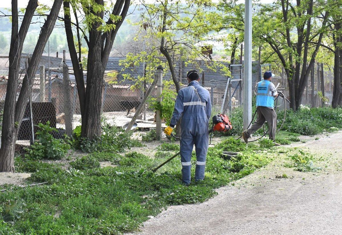Hayvanlar Mutlu, Başkent Mutlu