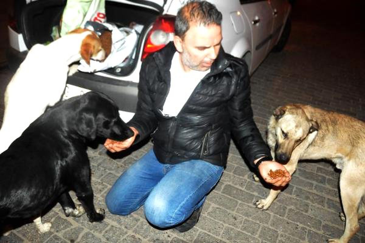 Her Gece Sokak Hayvanlarını Besliyor