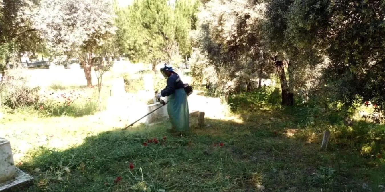 Koçarlı\'da Mezarlıklar Bakıma Alındı