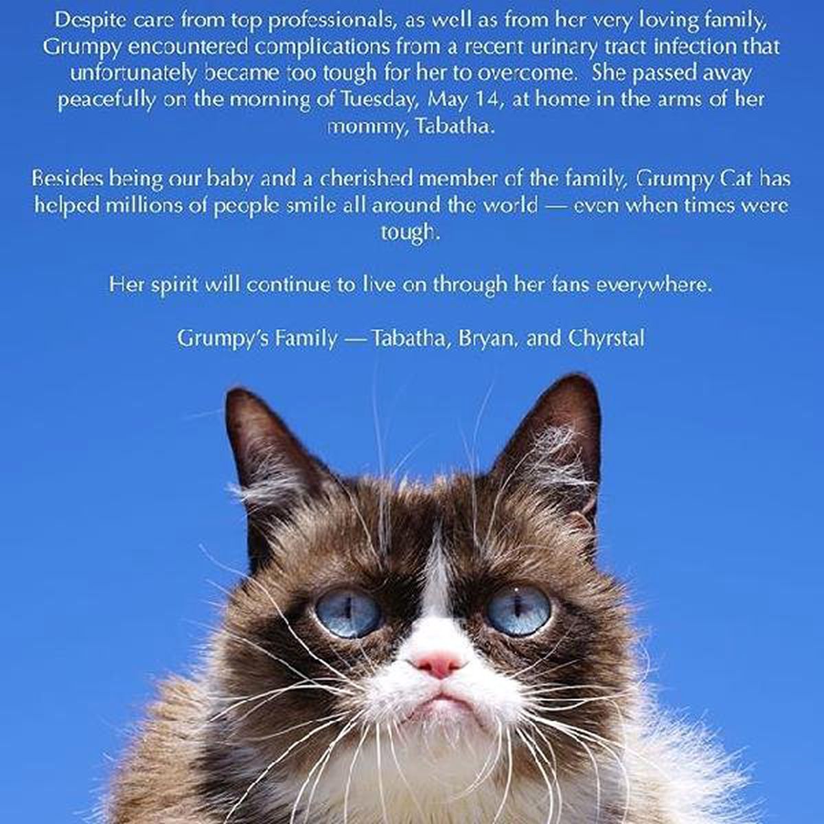 Sosyal Medya Fenomeni \'Grumpy Cat\' Hayatını Kaybetti