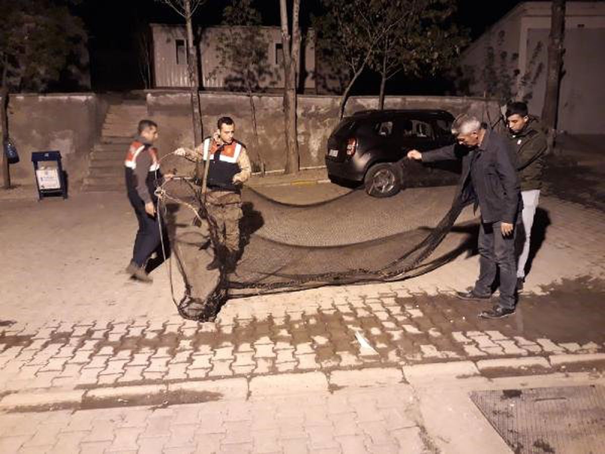 Van\'da Kaçak Avlanma Denetimi: 1 Ton 200 Kilo İnci Kefali Ele Geçirildi
