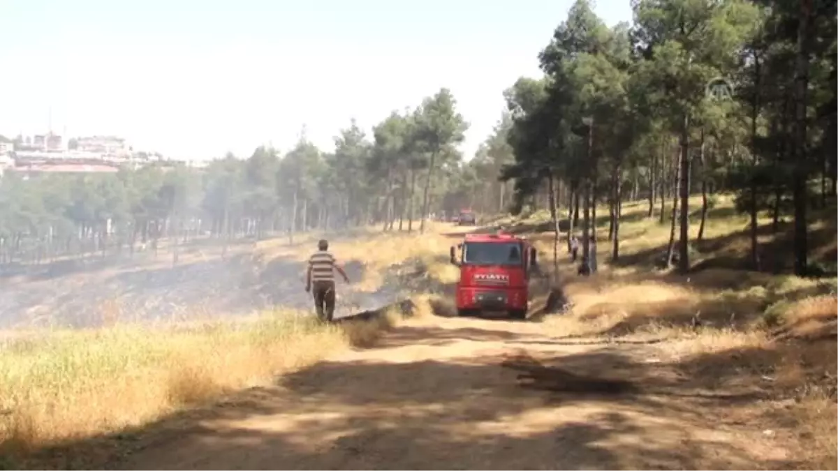 Hatay\'da Orman Yangını