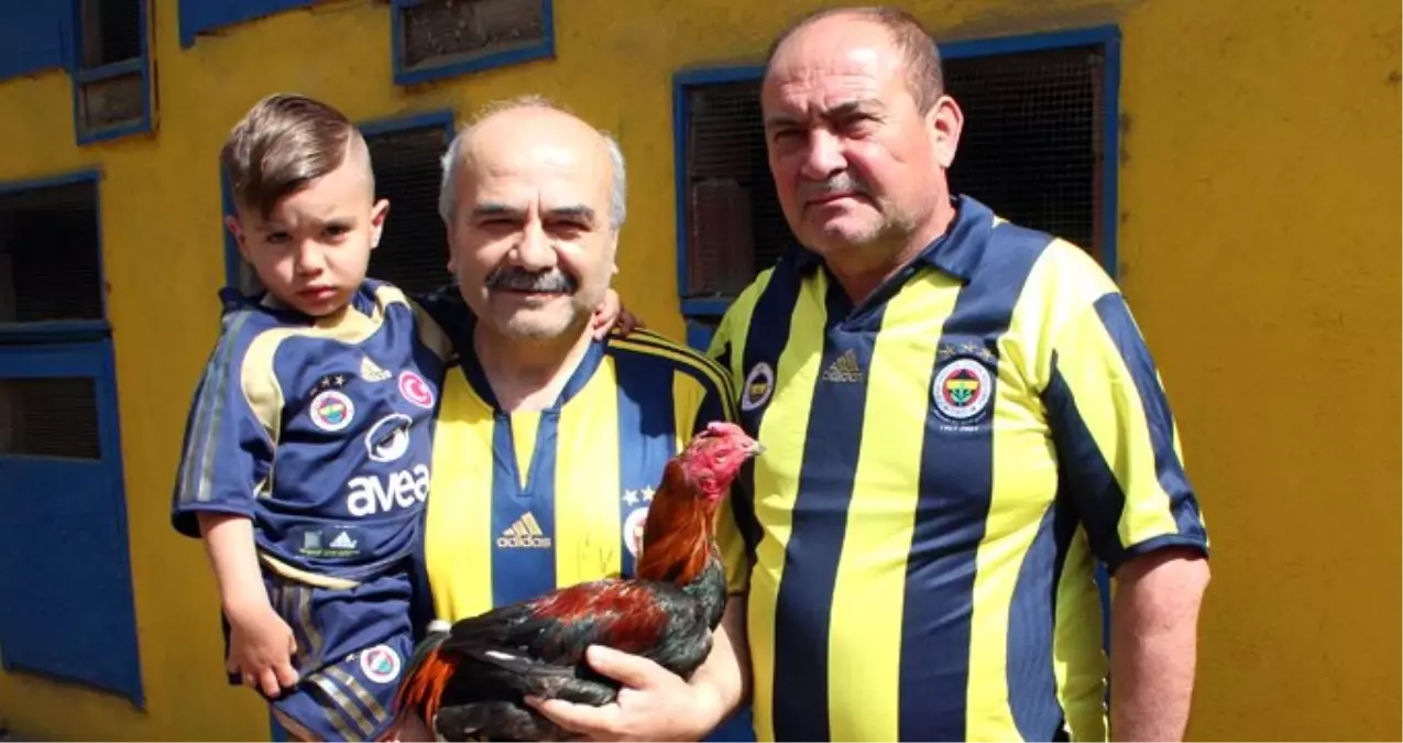 Horozunu Satarak Fener Ol Kampanyasına Destek Verdi