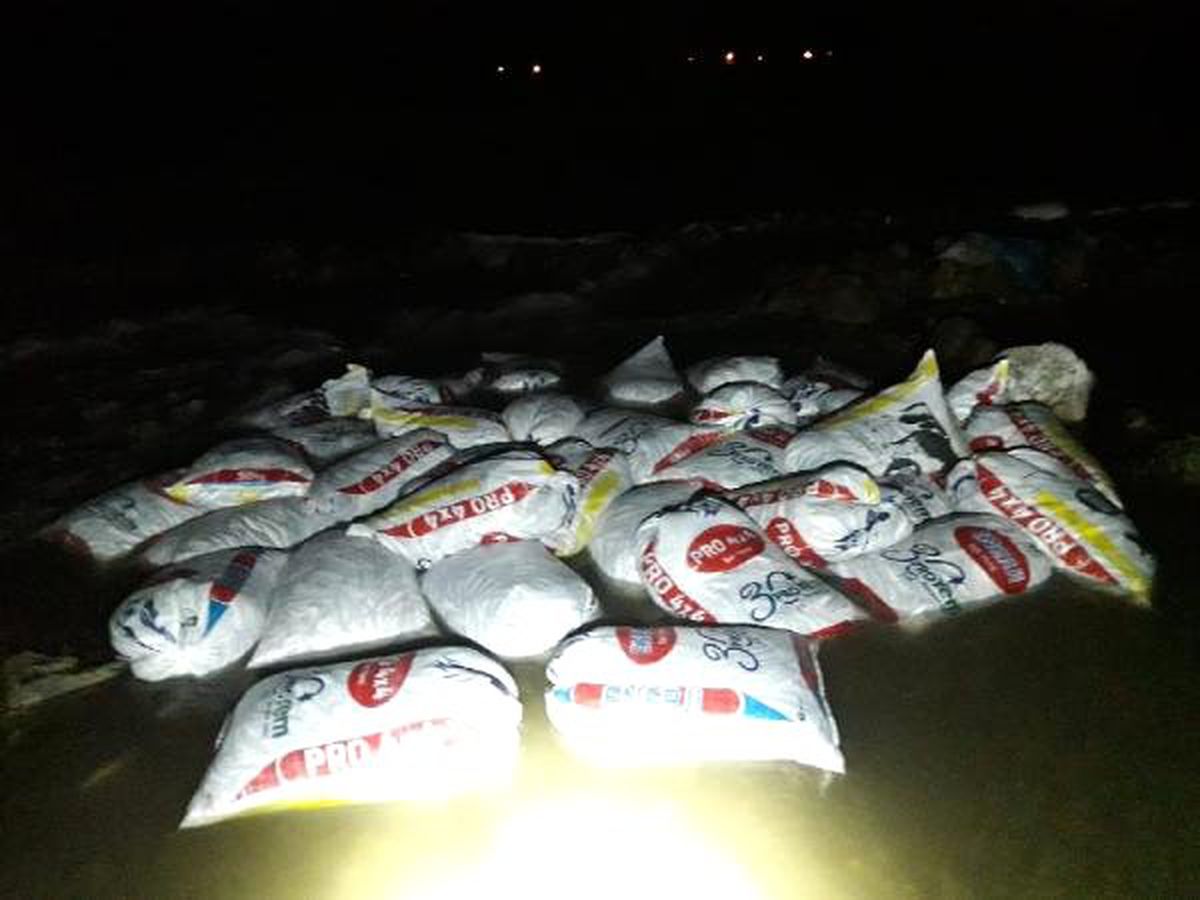 Muradiye\'de 2,4 Ton Kaçak Avlanan İnci Kefali Ele Geçirildi