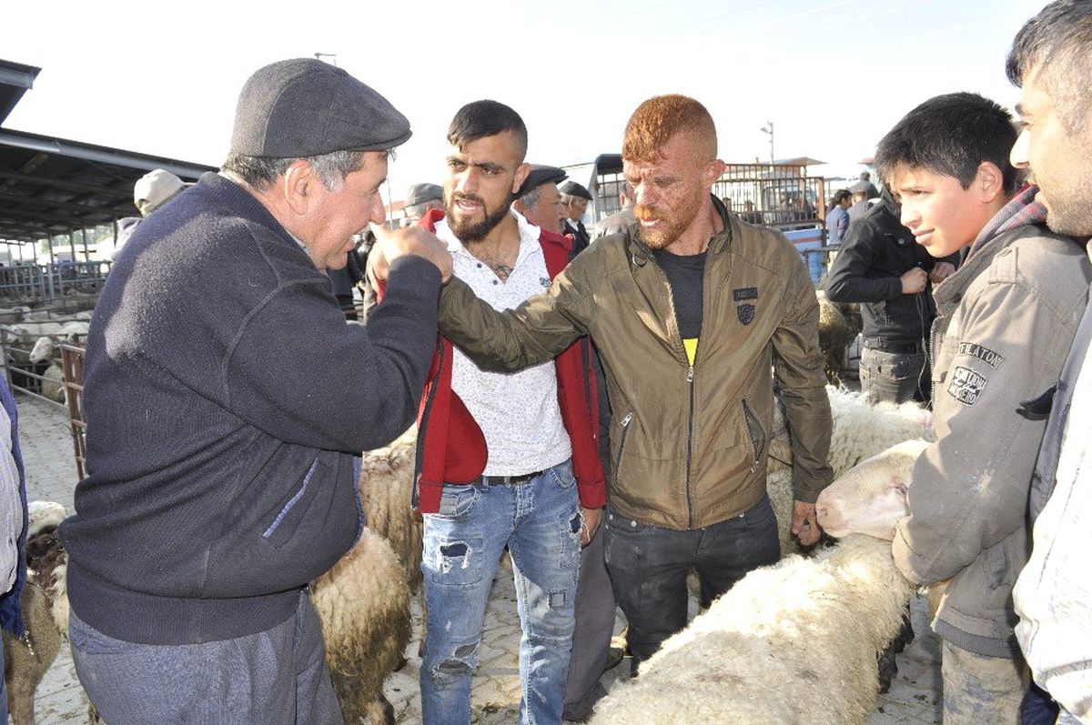 Şuhut Canlı Hayvan Pazarında Küçükbaş Alım Satımlarında Durgunluk