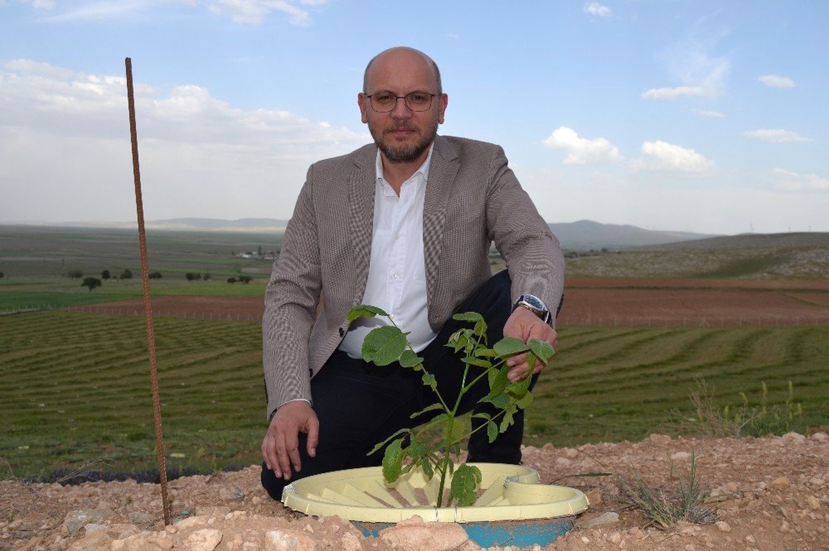 Sulamasız Tarıma İmkan Veren Ürün Geliştirdiler