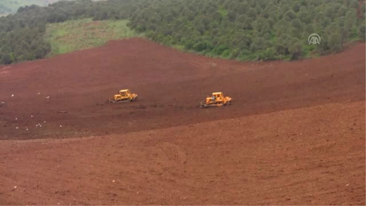 Bozuk Orman Arazilerinde "Gelir Getirici Türler" Yeşerecek