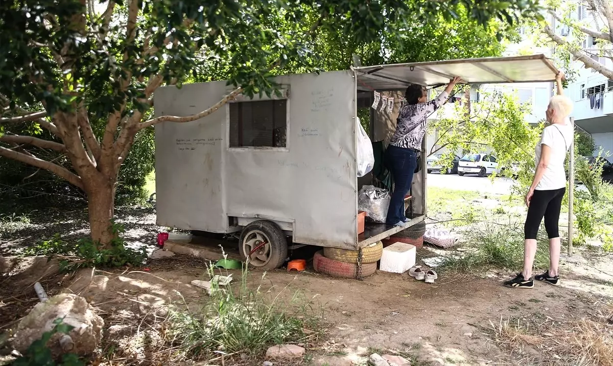 Kedi Karavanı" Sitede Tartışmalara Yol Açtı