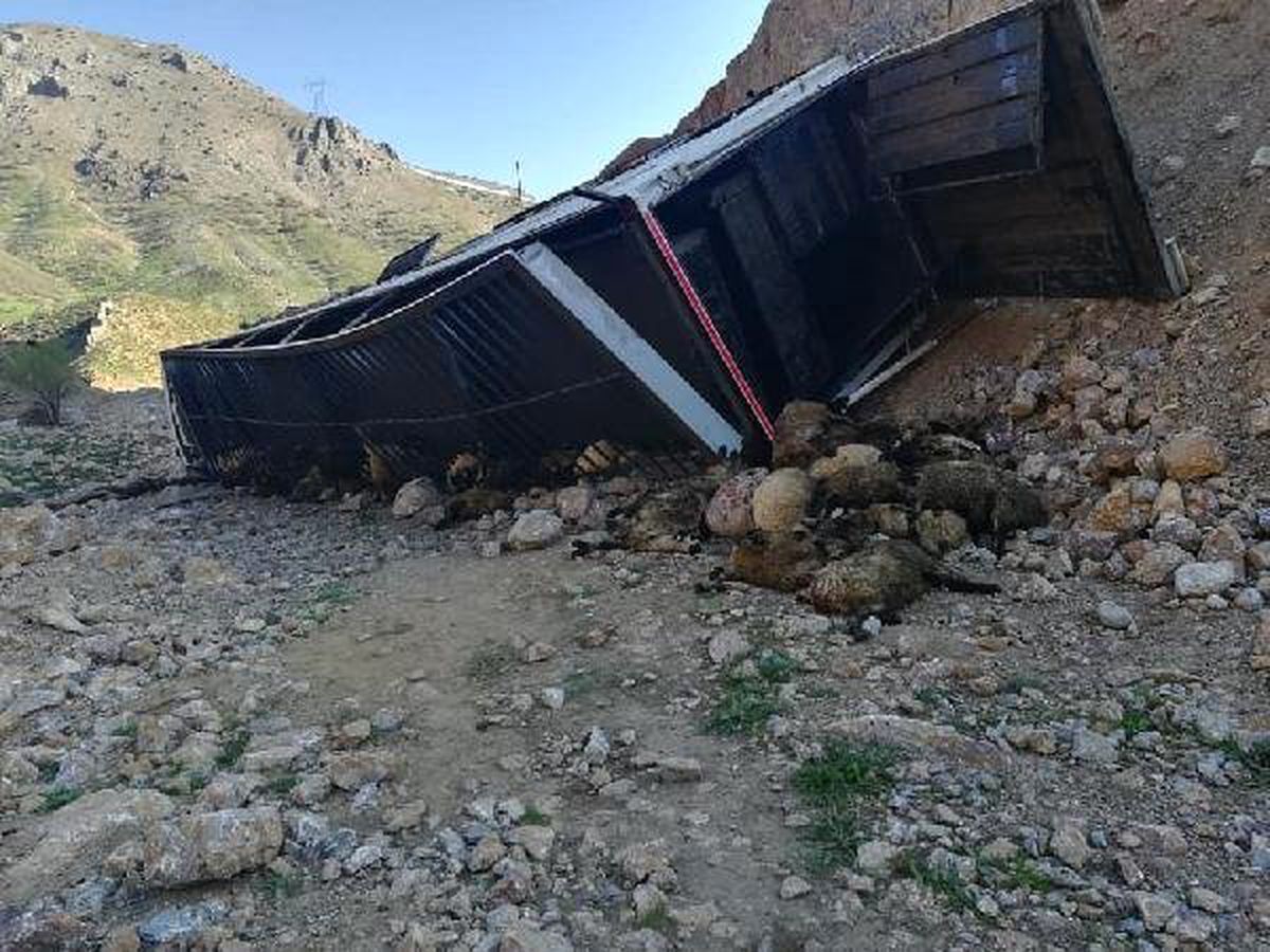 Küçükbaş Hayvan Taşıyan Tır Devrildi: 2 Yaralı