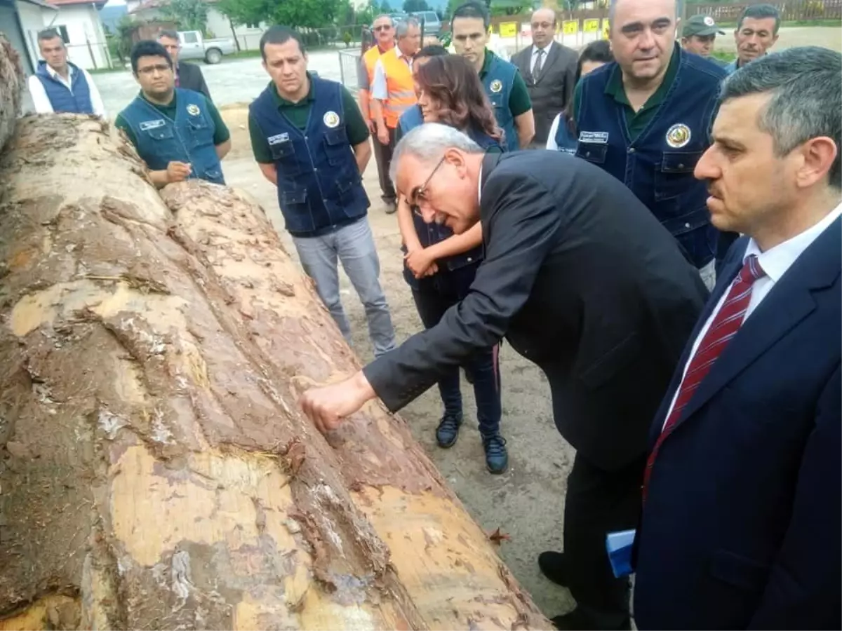 Orman Genel Müdürü Karacabey, Kastamonu\'yu Ziyaret Etti