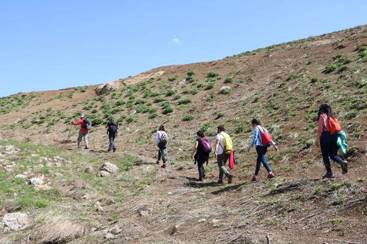 3 Bin Rakımlı Şişol Dağı\'na Tırmandılar