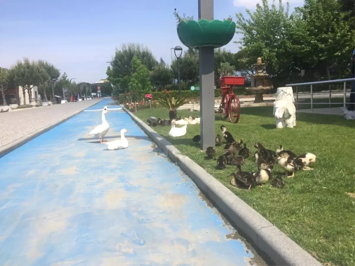 Atatürk Kent Park Manisa\'nın Cazibe Merkezi