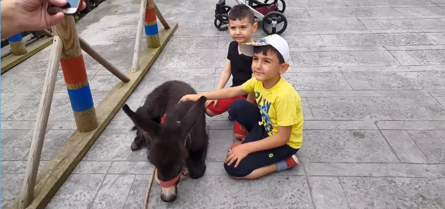 Bu Festival Çocuklar Ve Hayvanları Buluşturdu