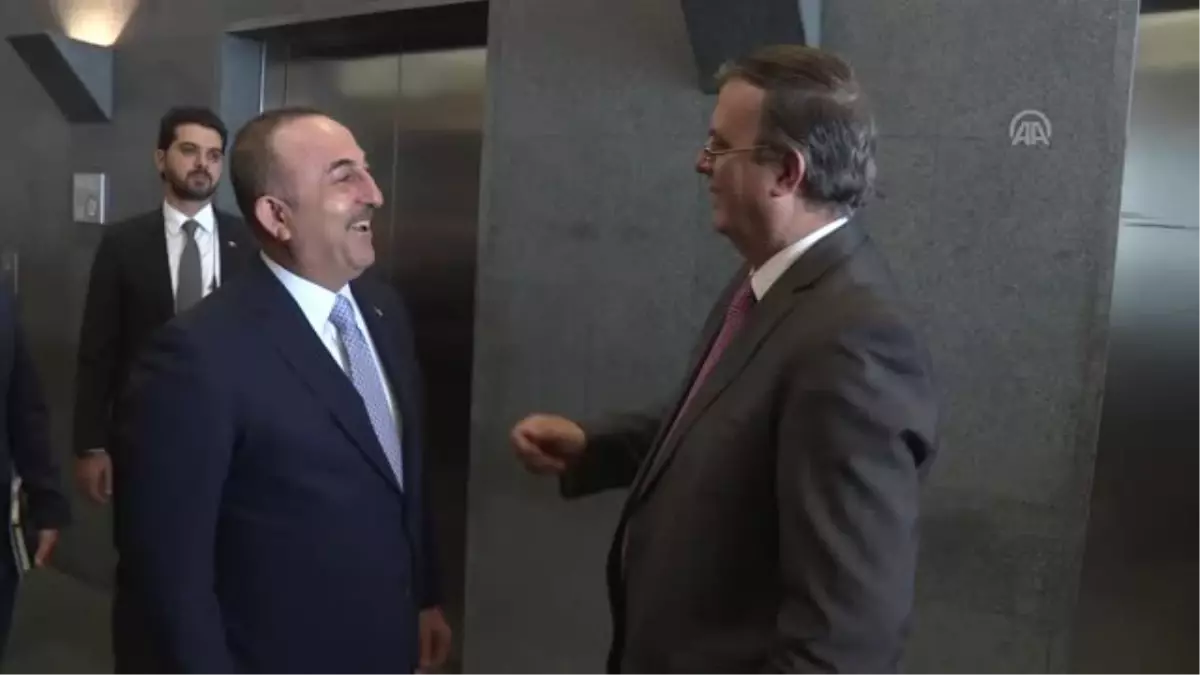 Dışişleri Bakanı Çavuşoğlu, Meksikalı Mevkidaşıyla Görüştü - Mexıco