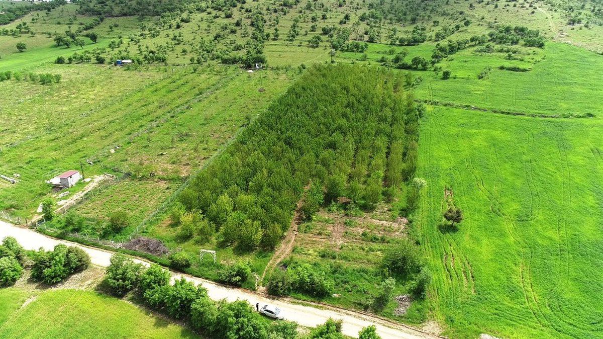 Dolu ve Sağanak Meyve Bahçelerini Vurdu, Verim Yüzde 90 Oranında Düştü