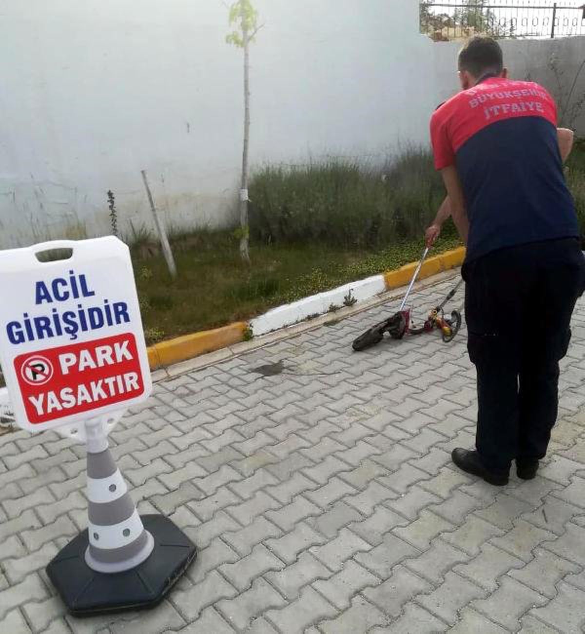 Hastane Bahçesindeki Yılan Korkuttu