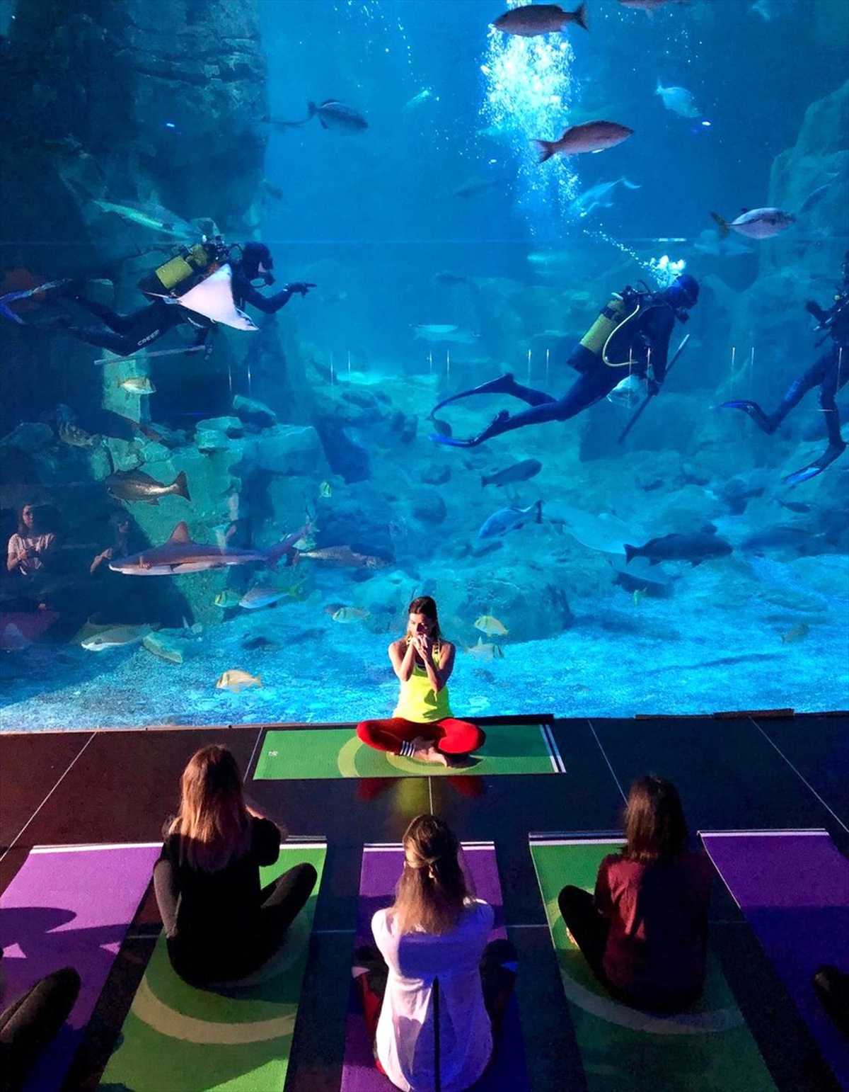 İstanbul Akvaryum\'da 19 Mayıs Kapsamında Yoga Etkinliği Düzenlendi