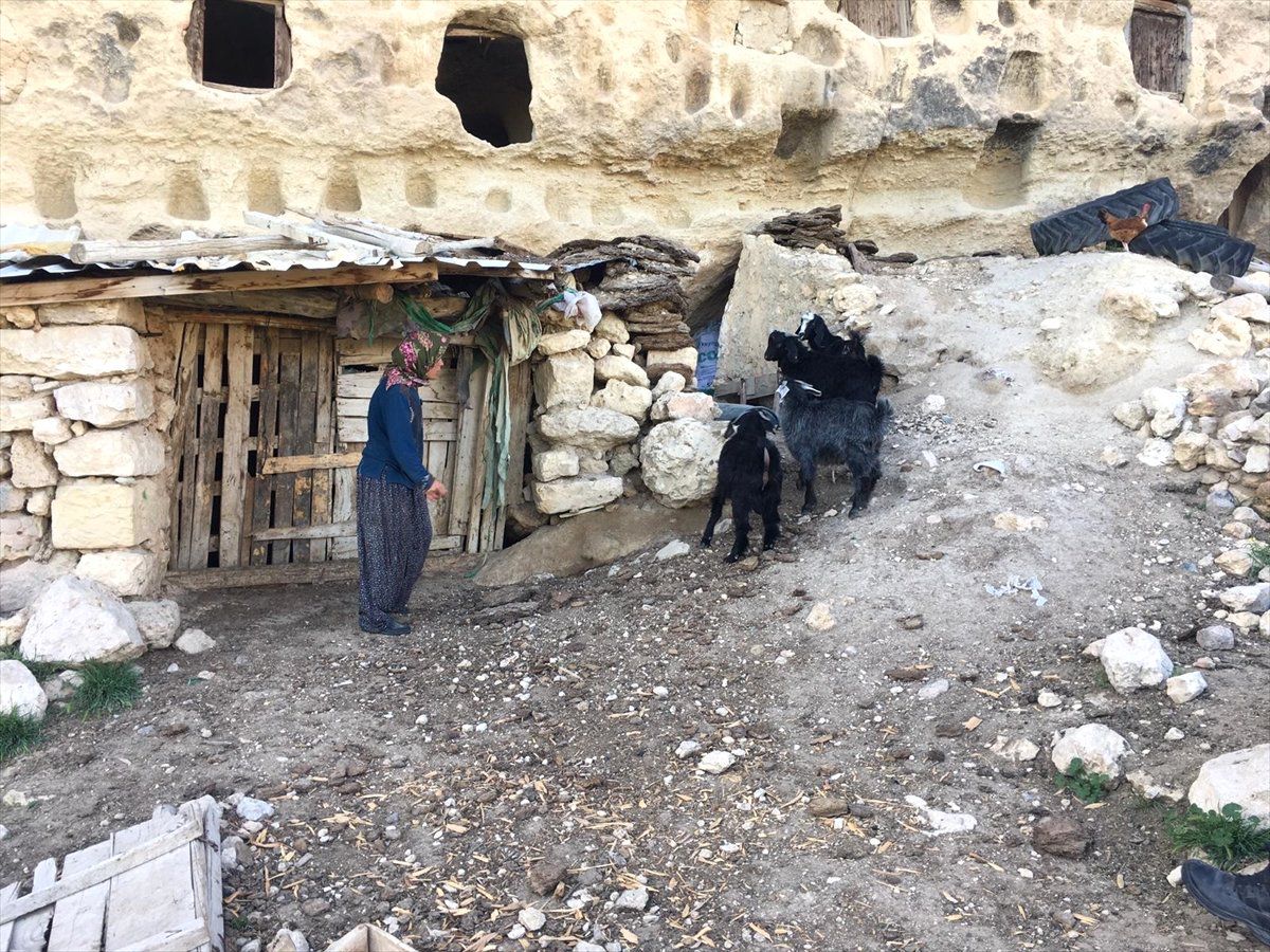 Kayıp Küçükbaş Hayvanları Jandarma Buldu