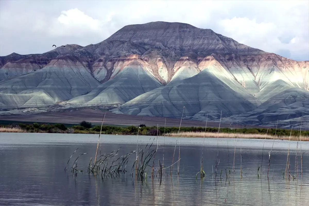 Nallıhan Kuş Cenneti Foto Safari" Günlerine Davet