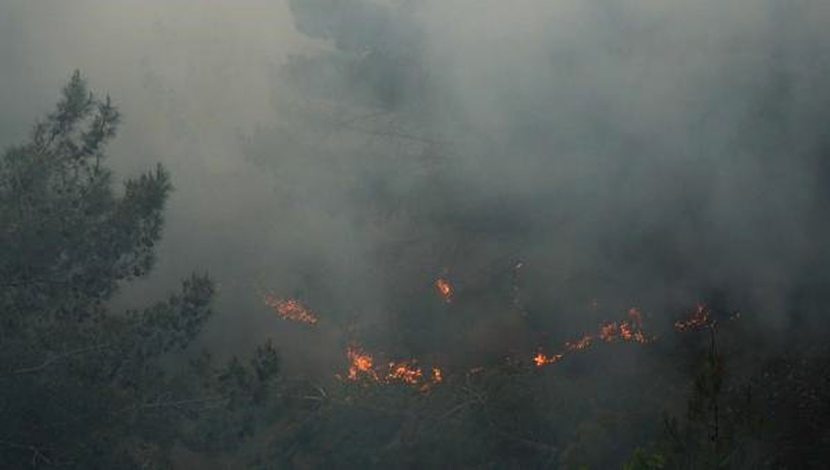 Orman Yangınına Destek İçin Vatandaşlara Çağrı Yapıldı: 3 Görevli Dumandan Etkilendi