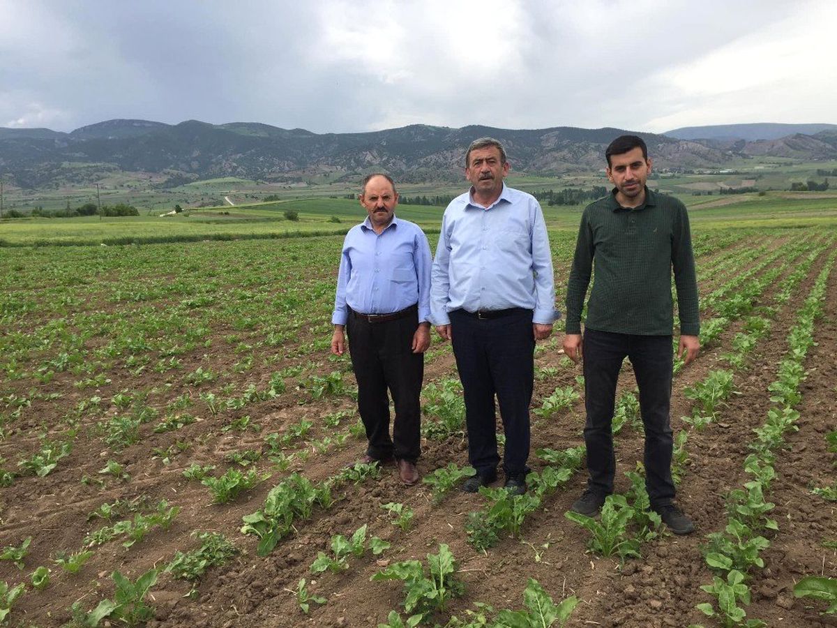 Amasya Şeker\'den Üreticiye 13,6 Milyon Liralık Avans