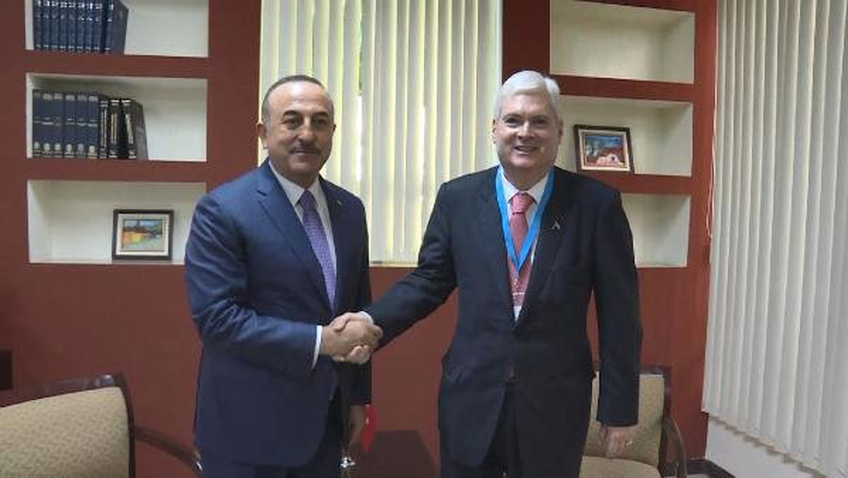 Çavuşoğlu, Kosta Rika Dışişleri Bakanı Ventura ile Görüştü