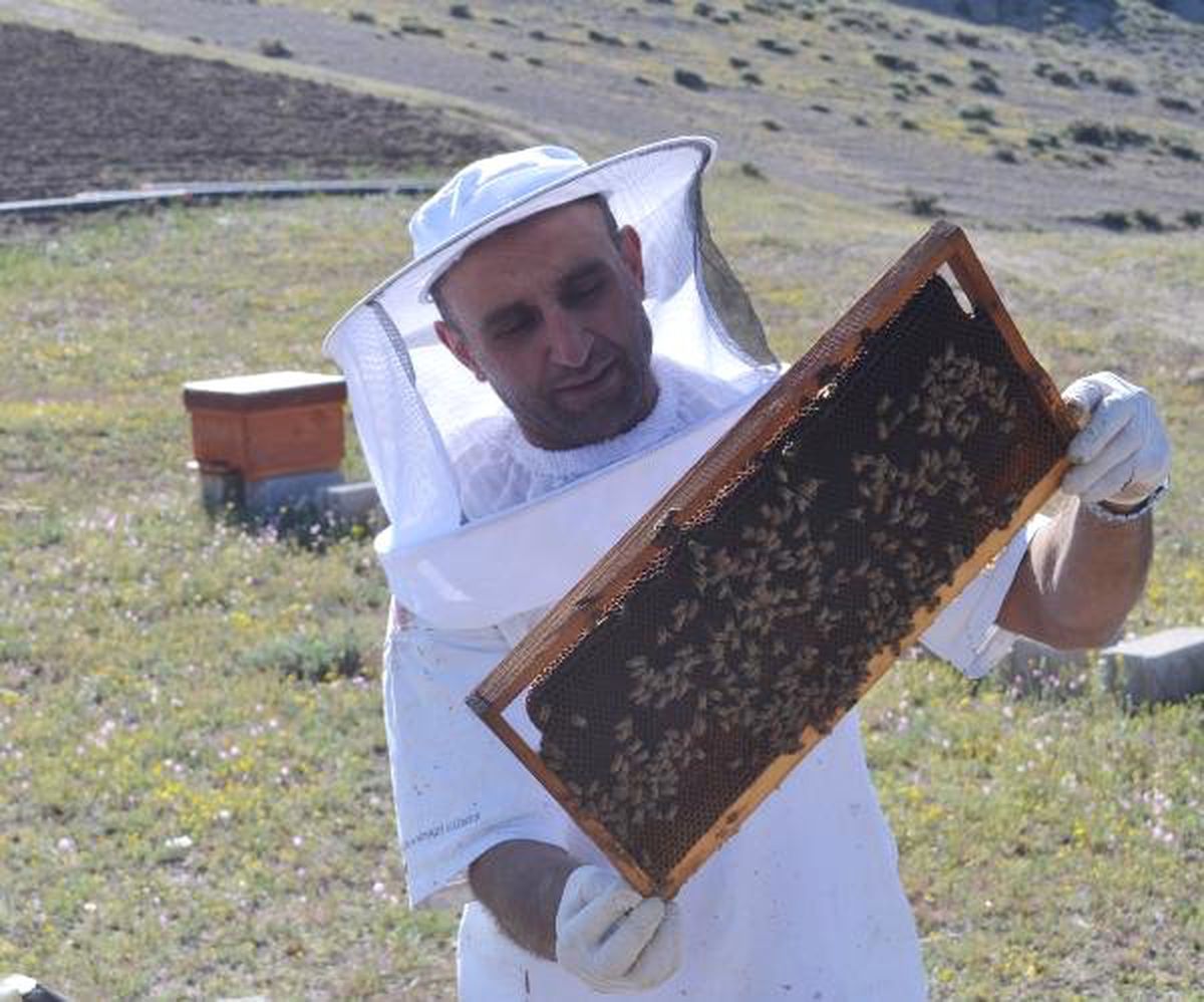 Hobi Olarak Başladığı Arıcılık, Mesleği Oldu