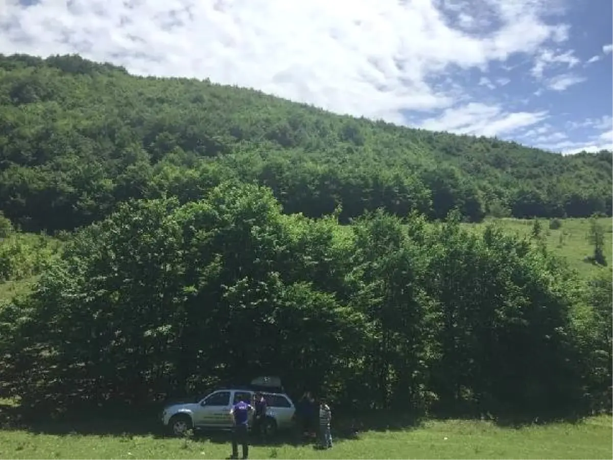 Kayıp Başvurusunda Bulunulan Kişi İçin Arama Çalışması Başlatıldı